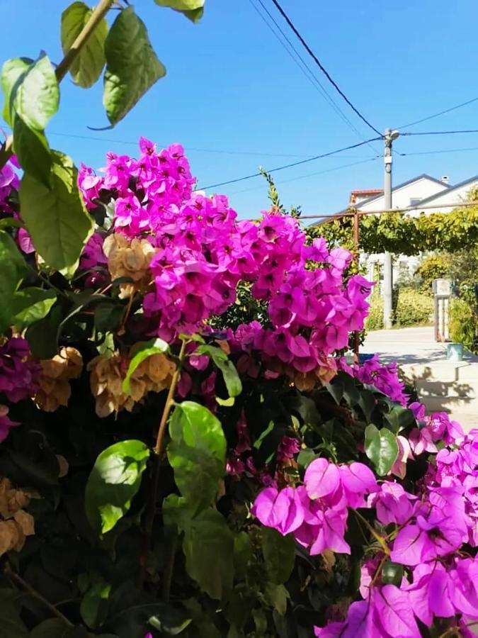 Aurora Apartment, Ζαντάρ Εξωτερικό φωτογραφία